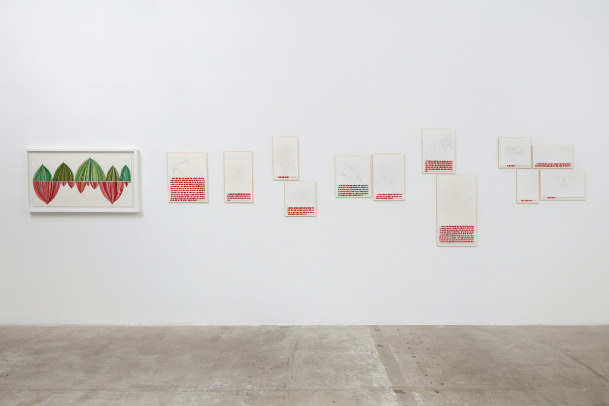 Installation view of Danica Phelps: Many Drops Fill a Bucket