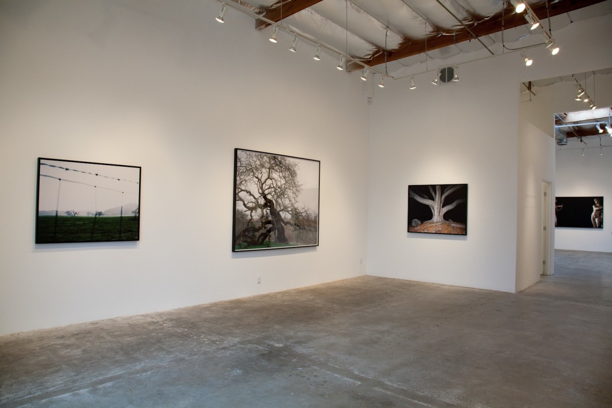 Installation View of Ken Gonzales-Day: Profiled | Hang Trees | Portraits