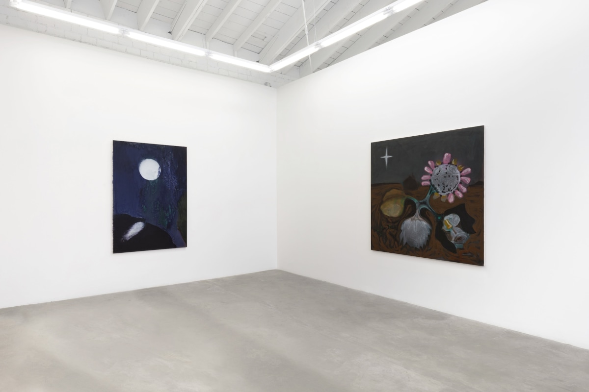 Installation View 4 of Nancy Evans: Moonshadow
