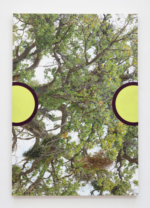 James Hyde, Outlook, 2015