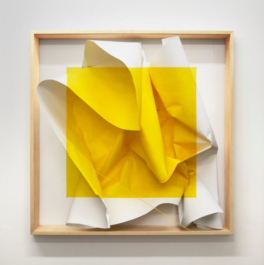 Acrylic on Paper I, 2020 &nbsp;