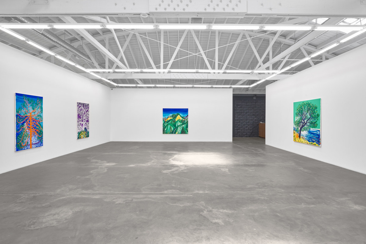 Installation view of ERIK OLSON: The Mountain and the Sea, on view June 17 - August 5, 2023