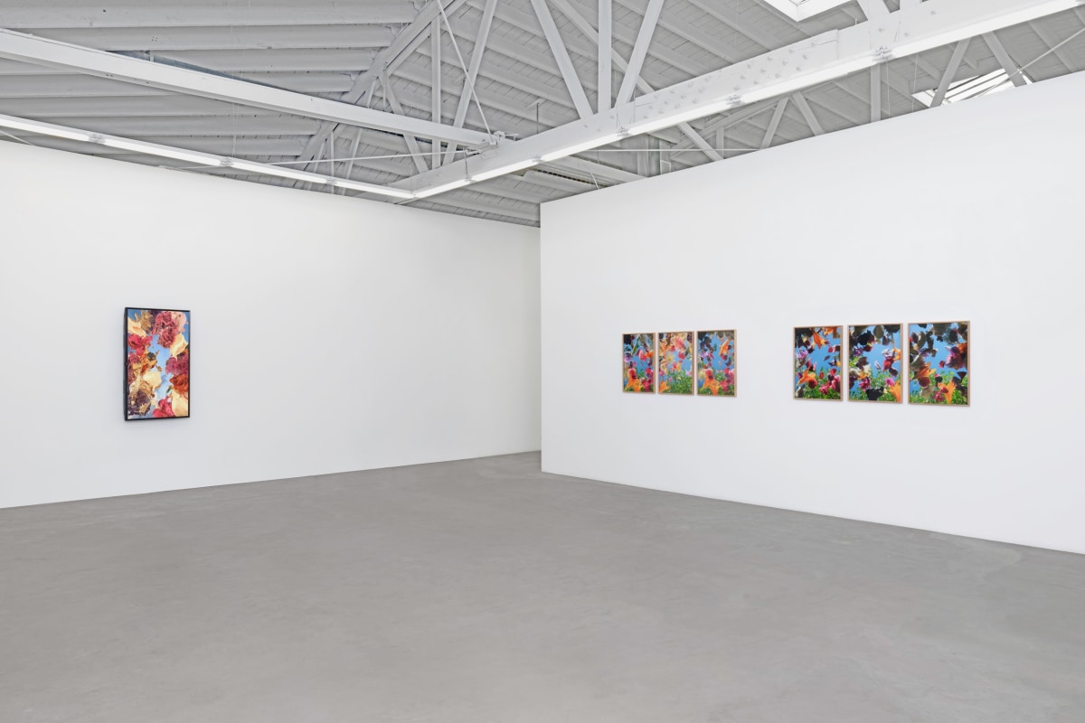 Installation view 3 of Andre Hemer: Phenomena