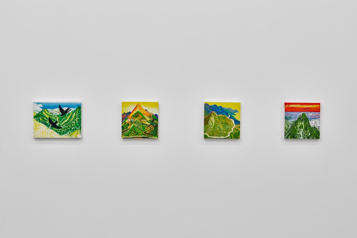 Installation view of ERIK OLSON: The Mountain and the Sea, on view June 17 - August 5, 2023