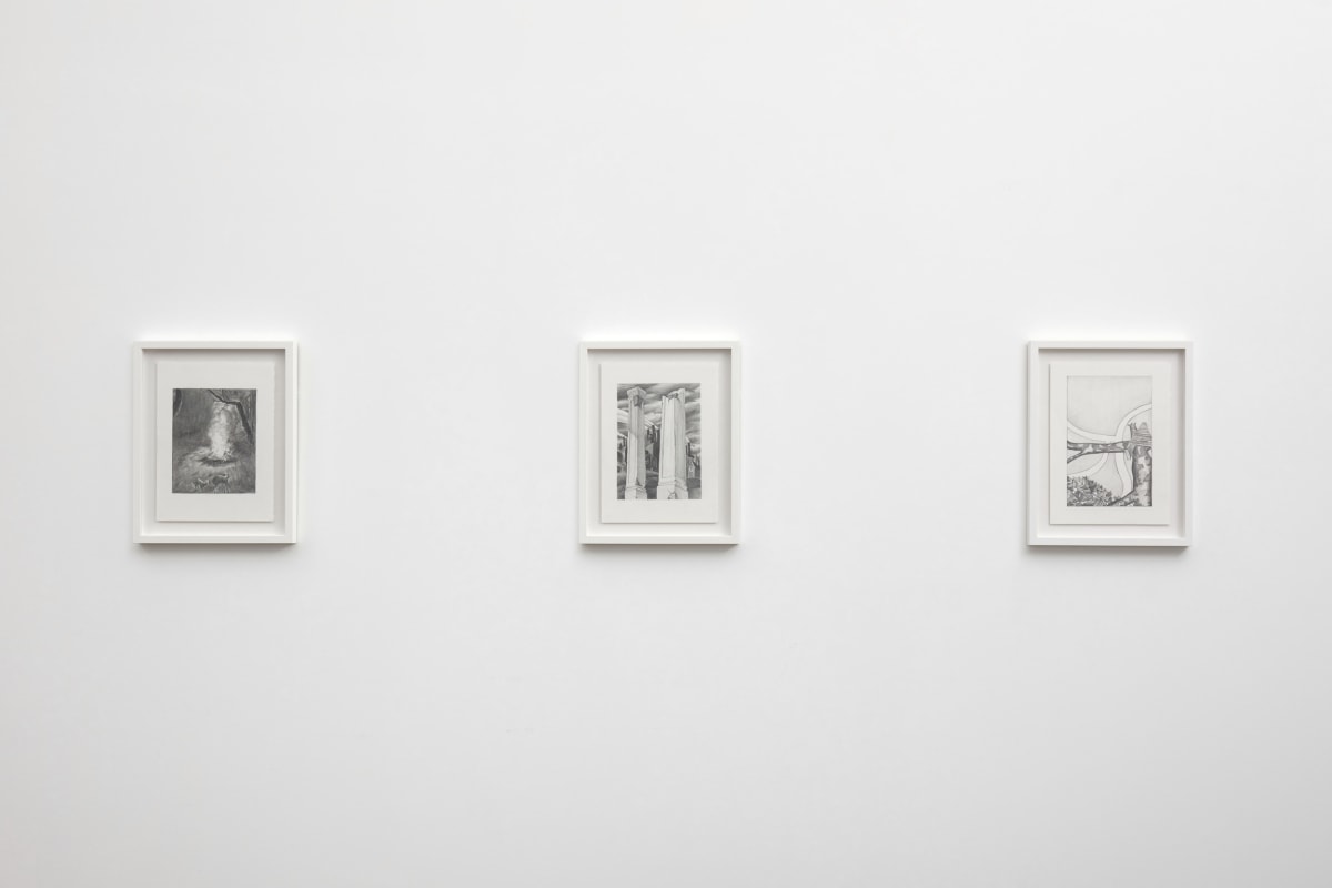 Ken Gonzales-Day, Another Land, 2022, Installation View 7