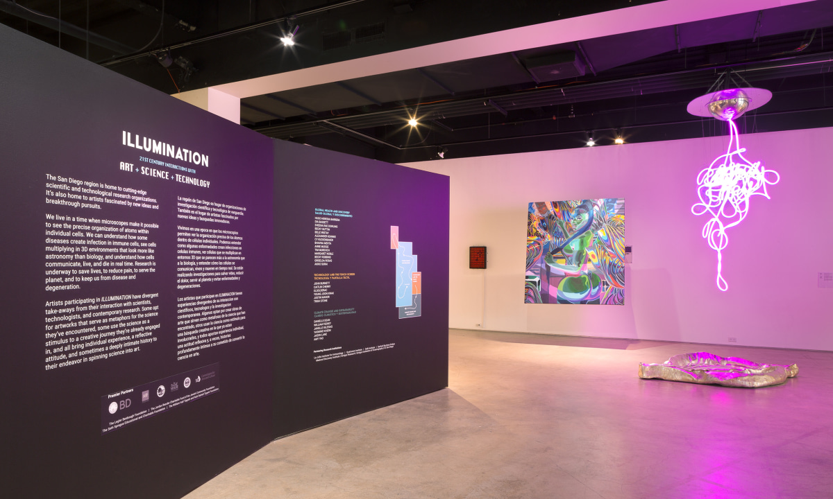 Installation View of Caitlin Cherry's work at Illumination