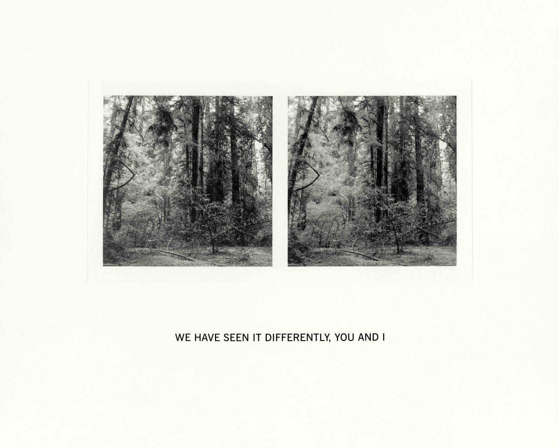 Susan Silton We Have Seen It Differently You and I, 2020