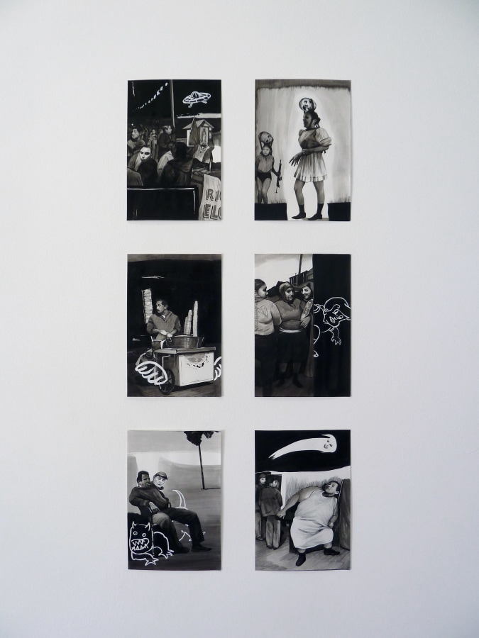 Installation View of Hugo Crosthwaite: Studies for Carpas