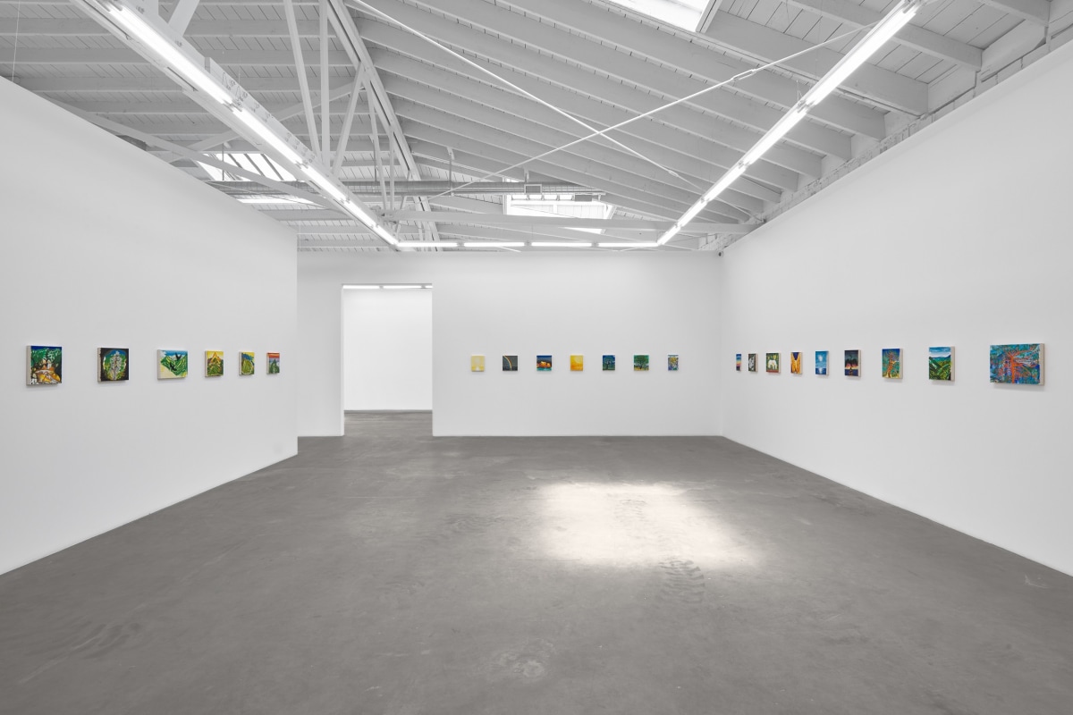 Installation view of ERIK OLSON: The Mountain and the Sea, on view June 17 - August 5, 2023
