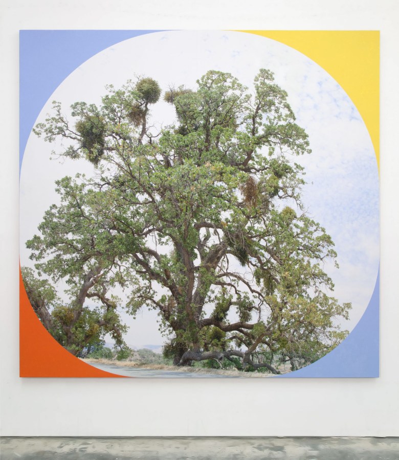 James Hyde, Coordinates, 2014