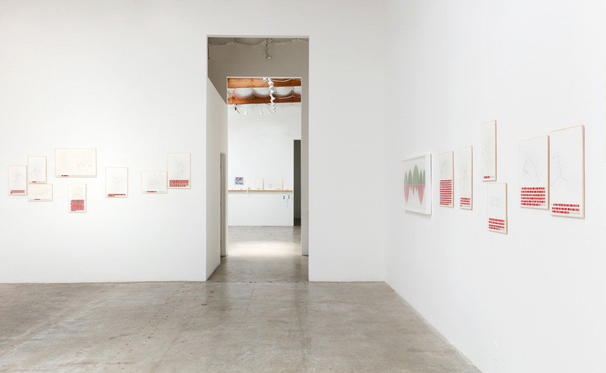 Installation view of Danica Phelps: Many Drops Fill a Bucket