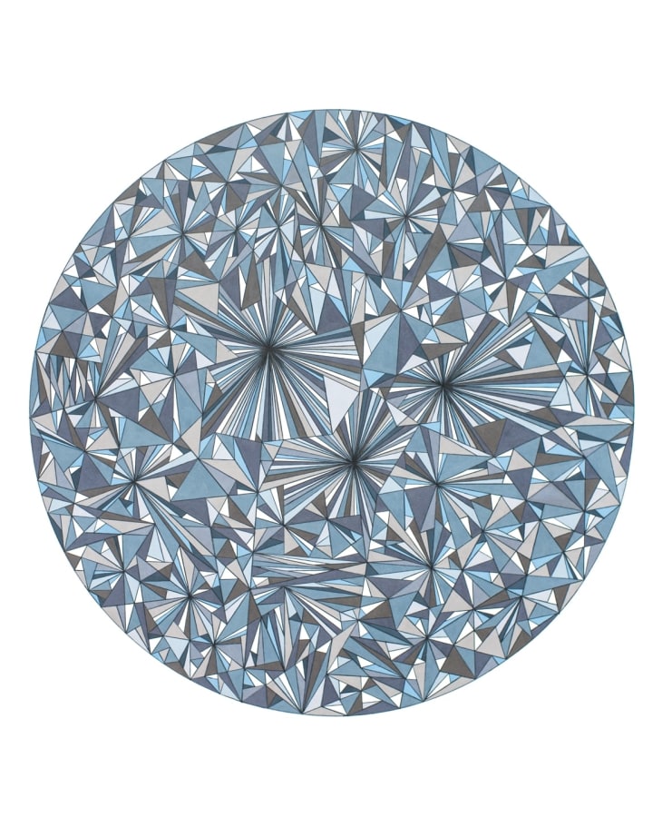 Dennis Koch Singular Versor (Gray Scale), 2014 Color pencil on paper 42 x 34 in.