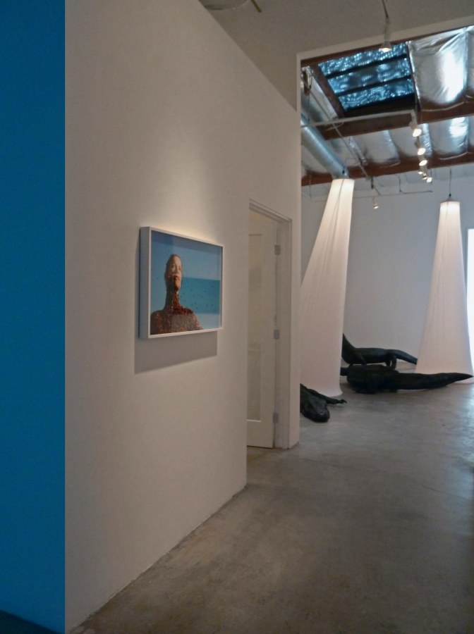 Installation View of Marisol Rend&oacute;n: So, Dragons Do Exist?