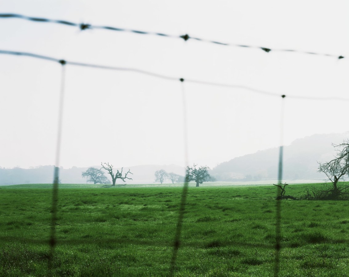 Ken Gonzales-Day, With none but the omni-present stars to witness, 2002