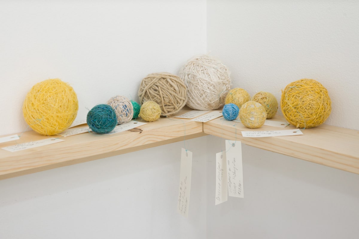 Installation view of Danica Phelps: Many Drops Fill a Bucket
