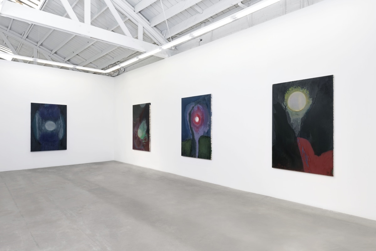 Installation View 7 of Nancy Evans: Moonshadow