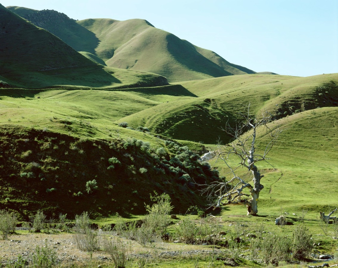 Ken Gonzales-Day (b. 1964, Santa Clara, California; lives in Los Angeles)