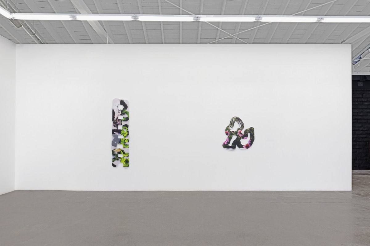 Installation view 7 of Kate Bonner: The space in things