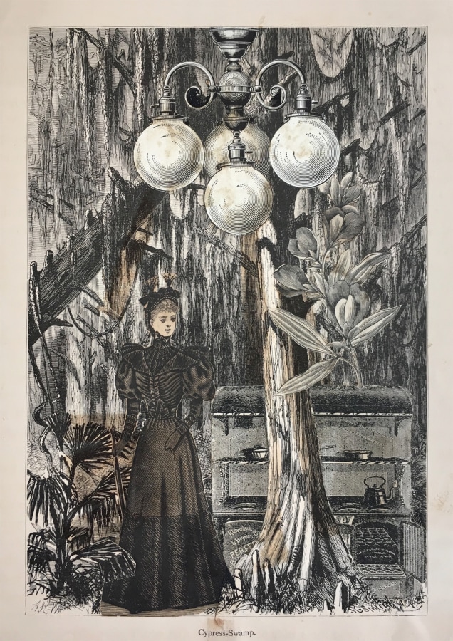 Nathan Gluck Cypress Swamp, 1941