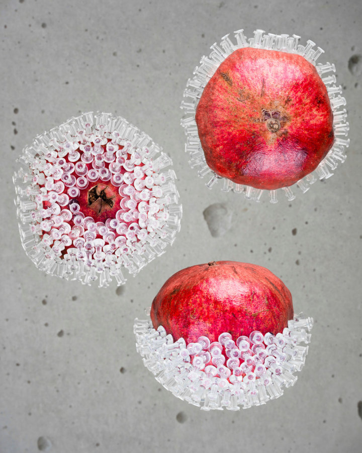 Masood Kamandy Pomegranate and Pushpins,&nbsp;2013