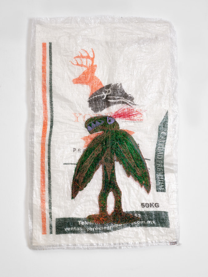 Griselda Rosas Se esconde y dibuja, 2024