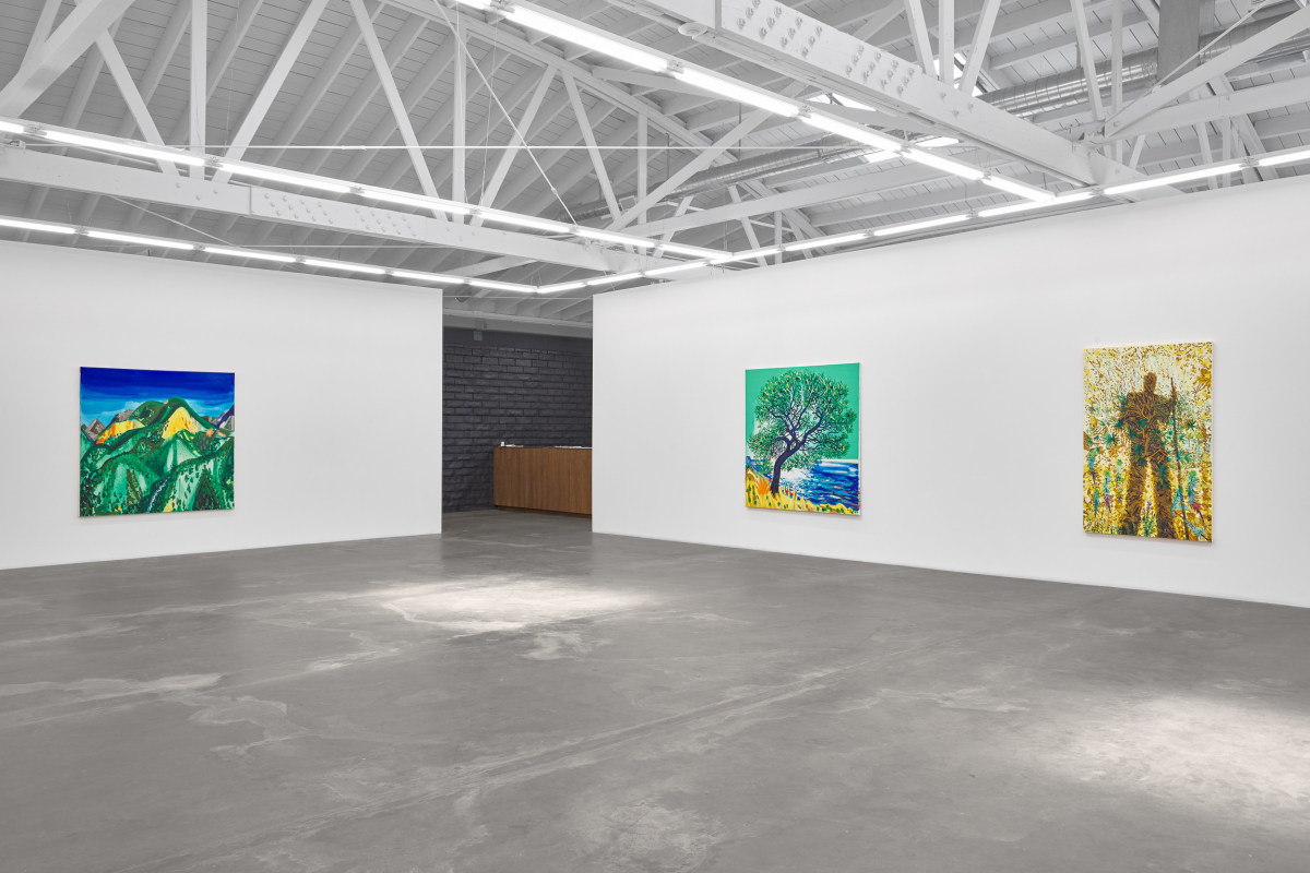 Installation view of ERIK OLSON: The Mountain and the Sea, on view June 17 - August 5, 2023