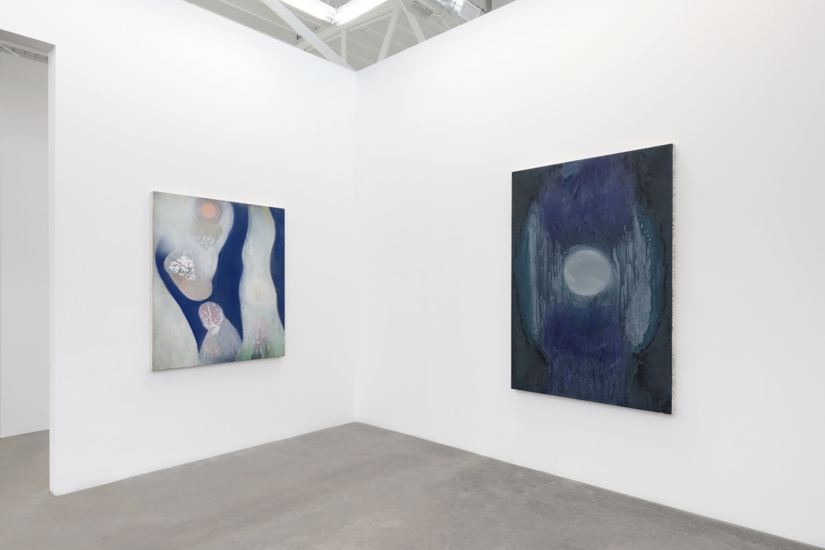Installation View 5 of Nancy Evans: Moonshadow