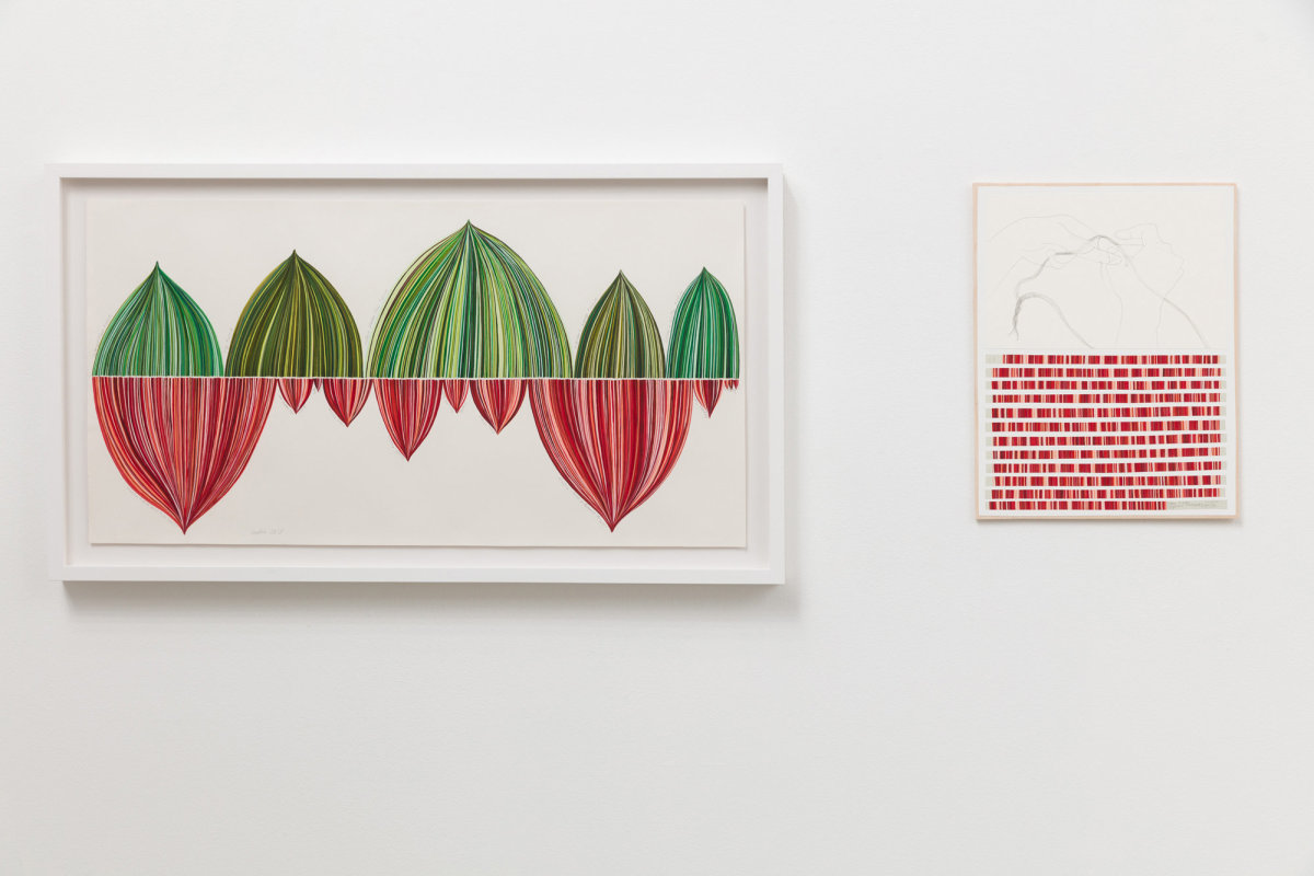 Installation view of Danica Phelps: Many Drops Fill a Bucket