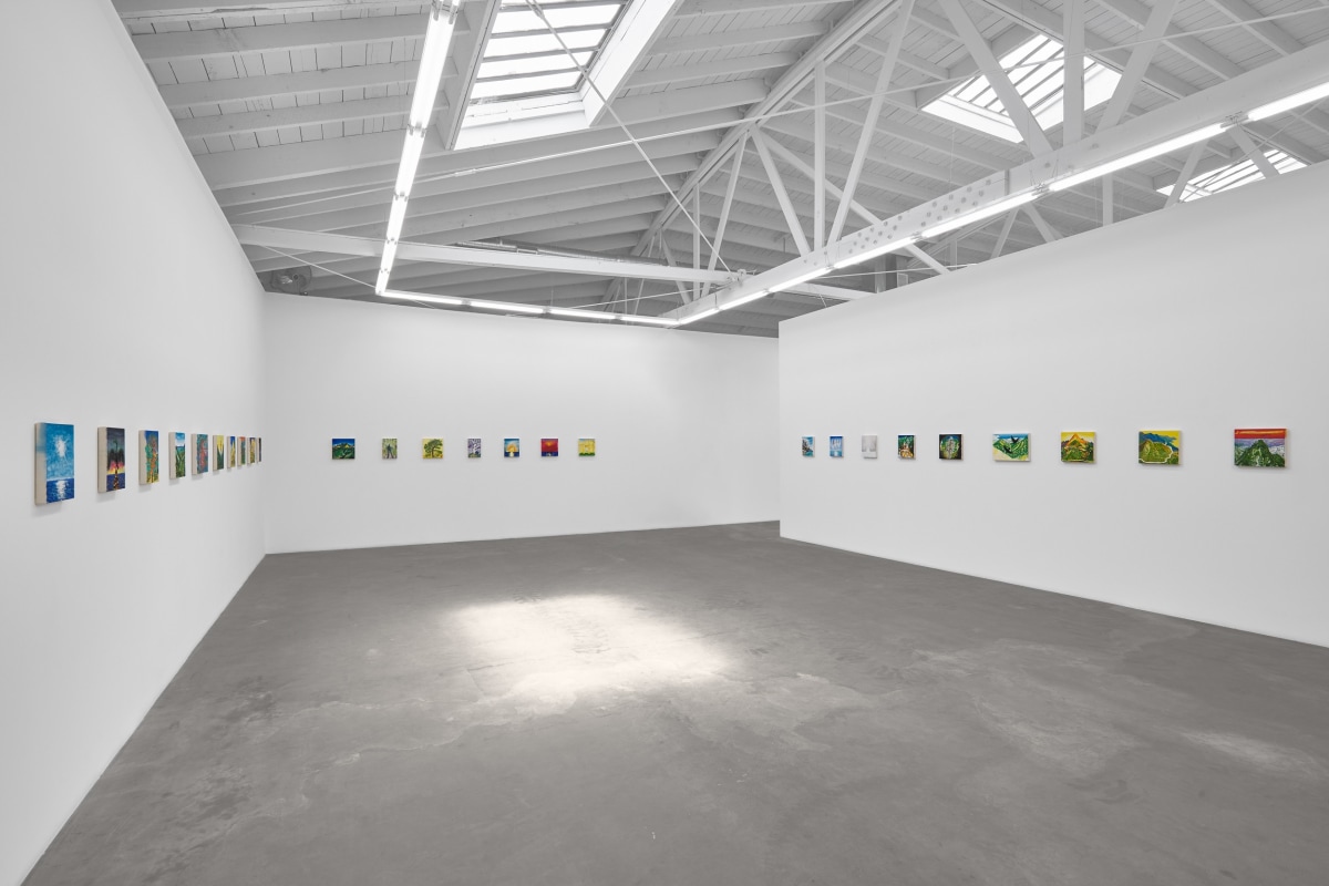 Installation view of ERIK OLSON: The Mountain and the Sea, on view June 17 - August 5, 2023