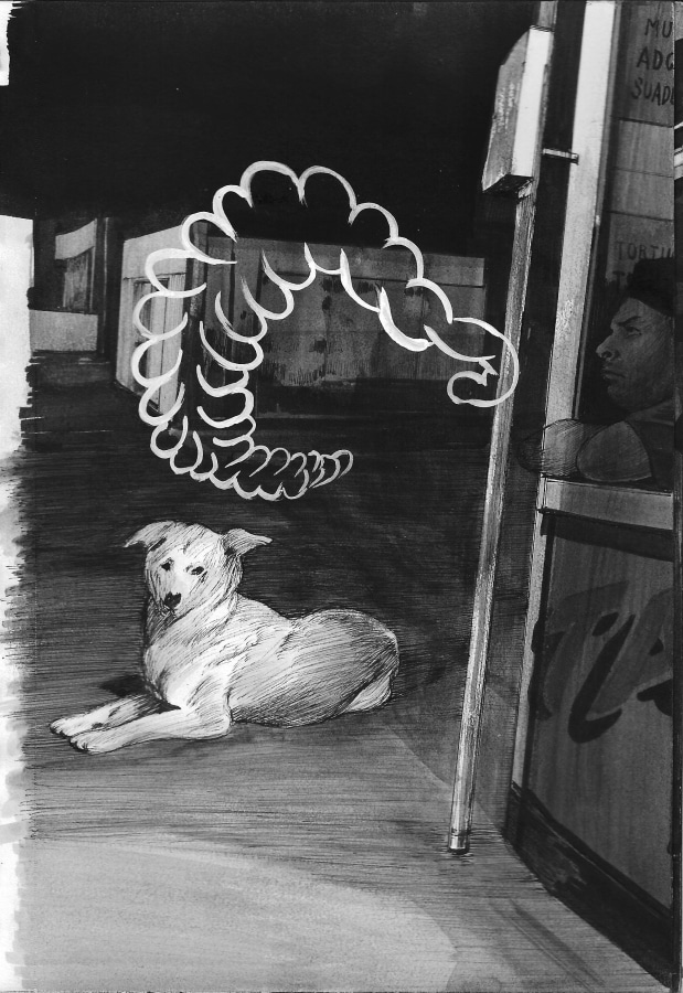 Hugo Crosthwaite Carpas Study, #23, 2013