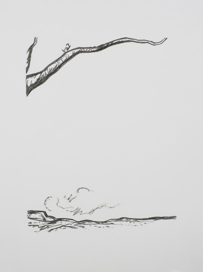 Ken Gonzales-Day, Untitled (After Edmund Duffy, California Points with Pride!, 1934), 2021, Archival ink and pencil on Arches BFK Rives, 15 x 11 in.