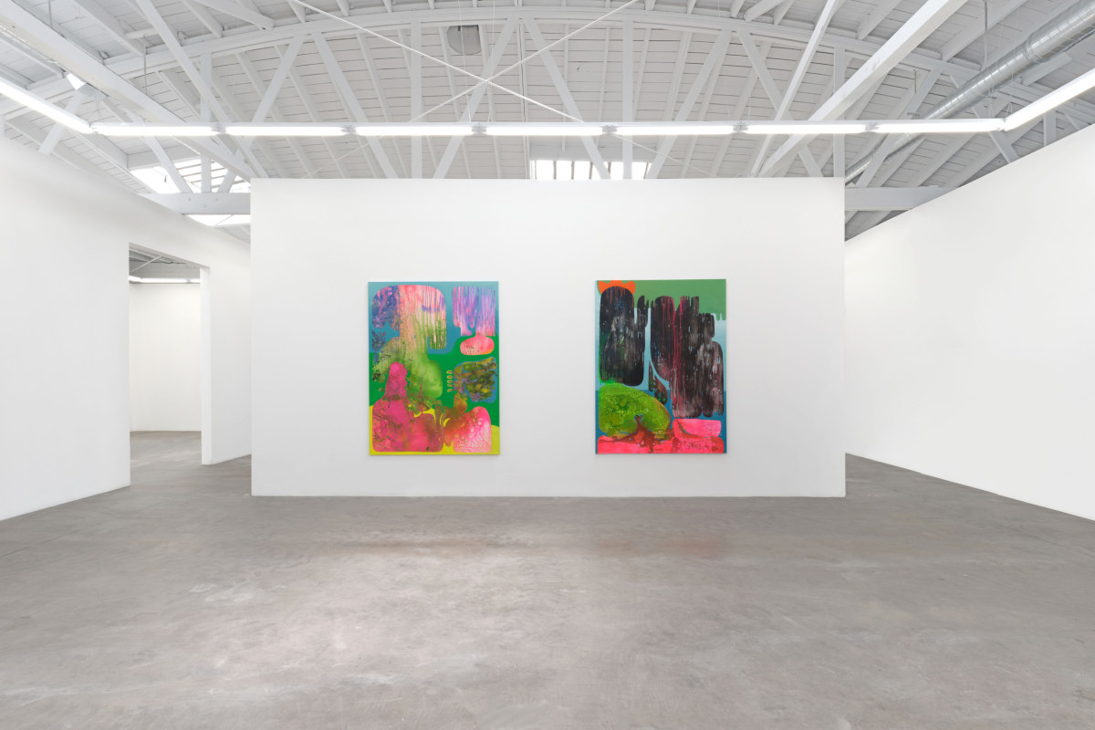 Installation view 3 of&nbsp;Vian Sora: Subduction