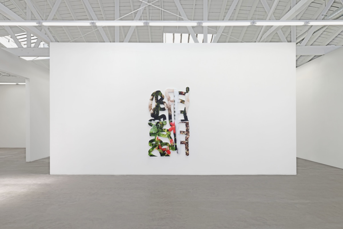 Installation view 14 of Kate Bonner: The space in things