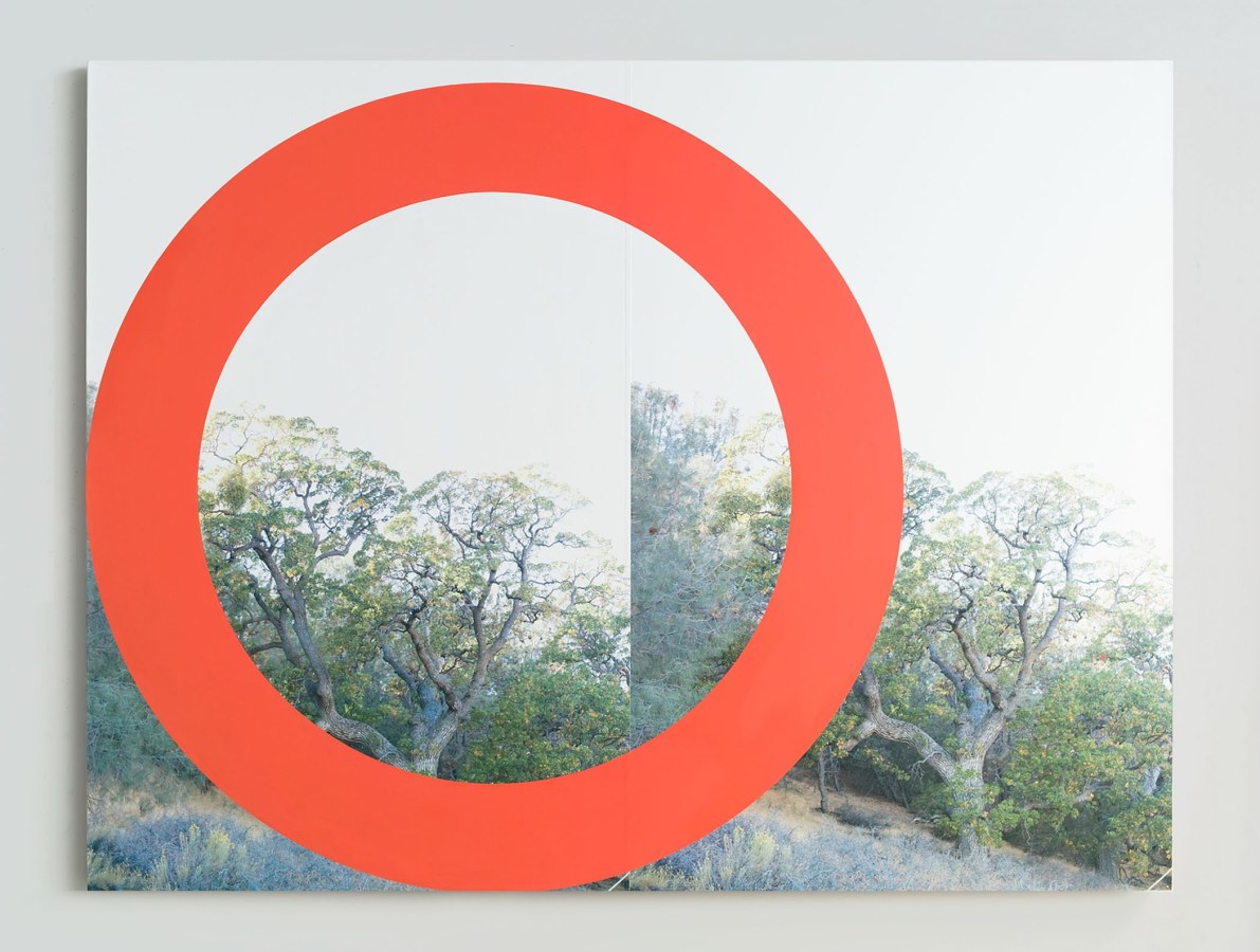 James Hyde RED TREE, 2015