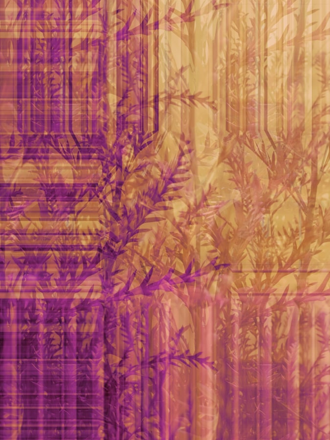 Masood Kamandy Botanical (Sodium Vapor), 2017 Dye-sublimation print on aluminum 36 x 27 in.