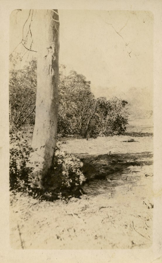 Ken Gonzalez-Day 4 Unidentified Mexicans?, n.d.  Erased Lynchings Set III, 2006-2019 Archival injet print on rag paper mounted on cardstock 6 x 4.5 in.