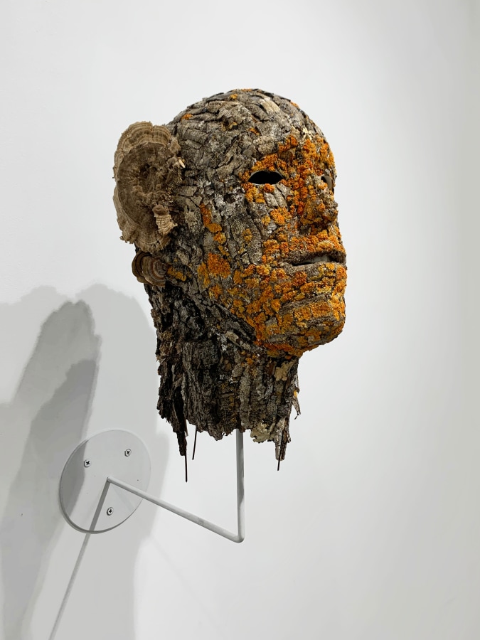 Hector Dionicio Mendoza