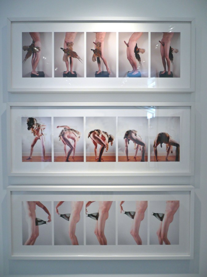 Installation View of COCKED! The Possessed Male: Object of Desire