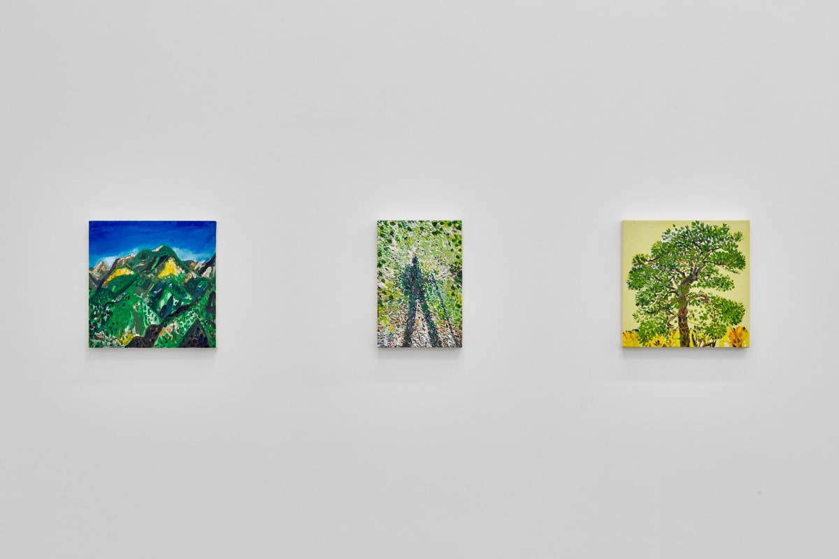 Installation view of ERIK OLSON: The Mountain and the Sea, on view June 17 - August 5, 2023