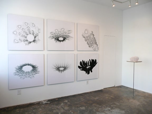 Installation View of Christopher Puzio: Big Beaver