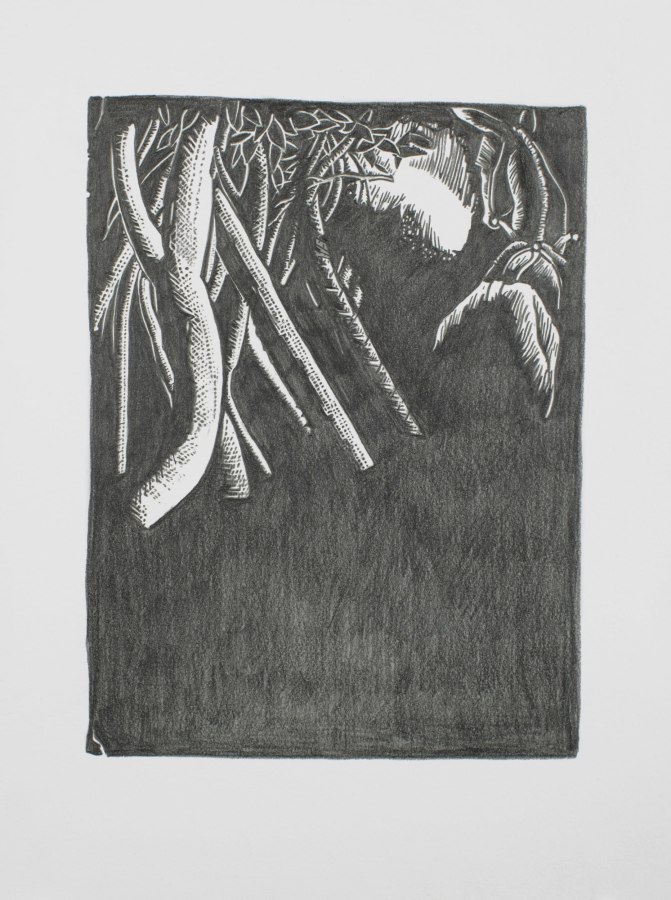 Ken Gonzales-Day, Untitled (After Hale Woodruff, Giddap, 1935), 2021, Archival ink and pencil on Arches BFK Rives, 15 x 11 in.