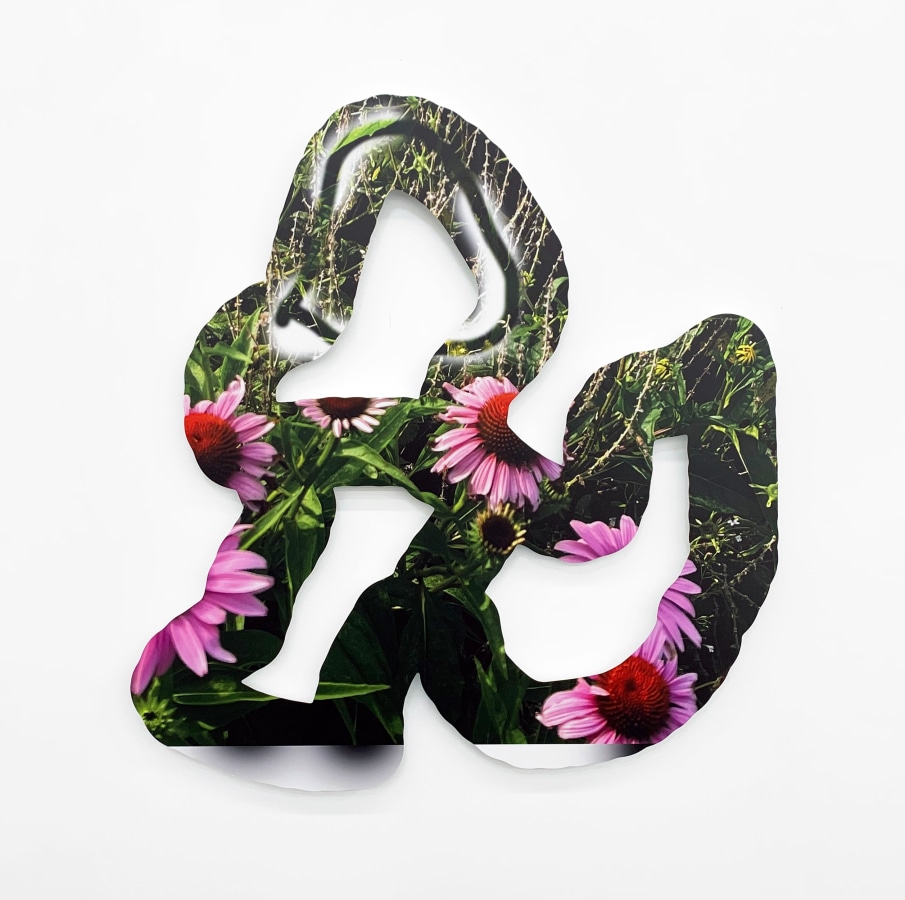 Kate Bonner, Circling around it, 2022, UV ink on aluminum, 32 x 36 in.