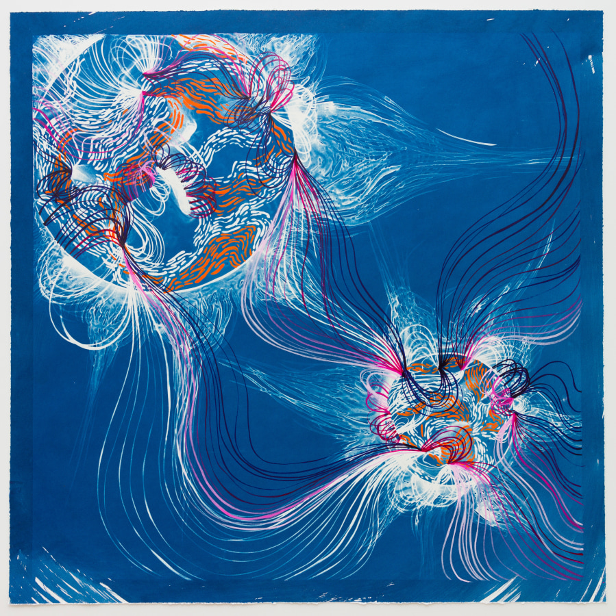 Lia Halloran Solar, 2019