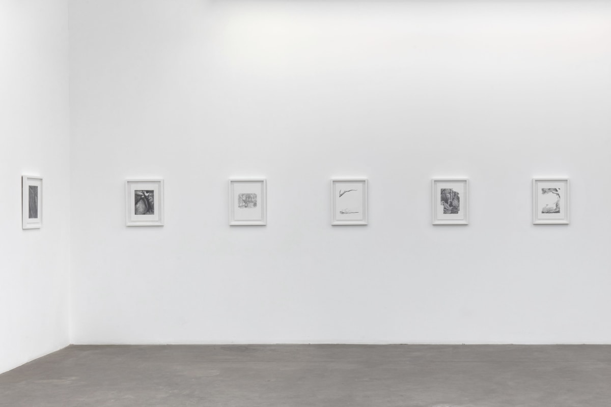 Ken Gonzales-Day, Another Land, 2022, Installation View 5