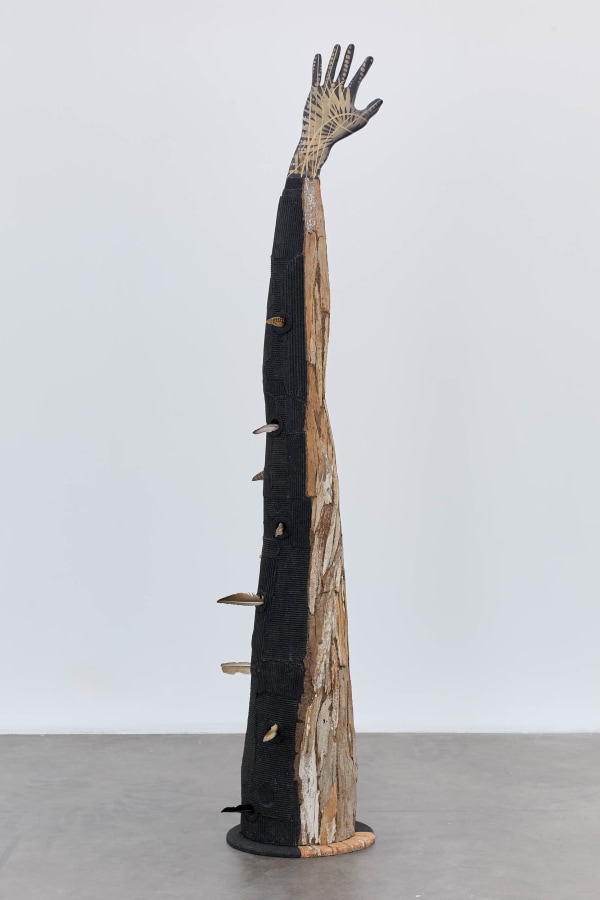 Sprouting Feathers to Take Flight / Reto&ntilde;ando plumas para impulsar vuelo