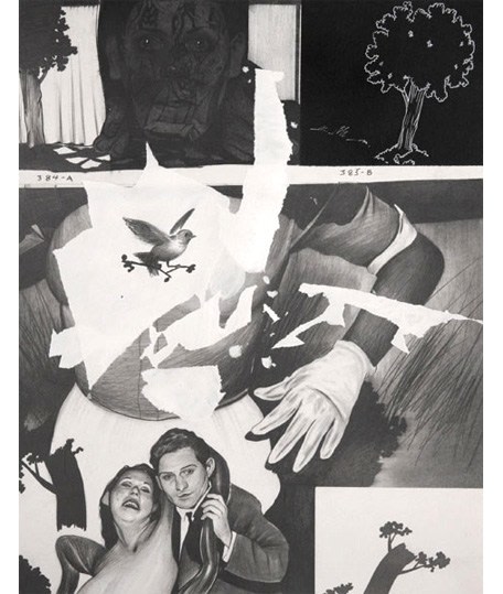 Hugo Crosthwaite Lost in the Woods, 2010