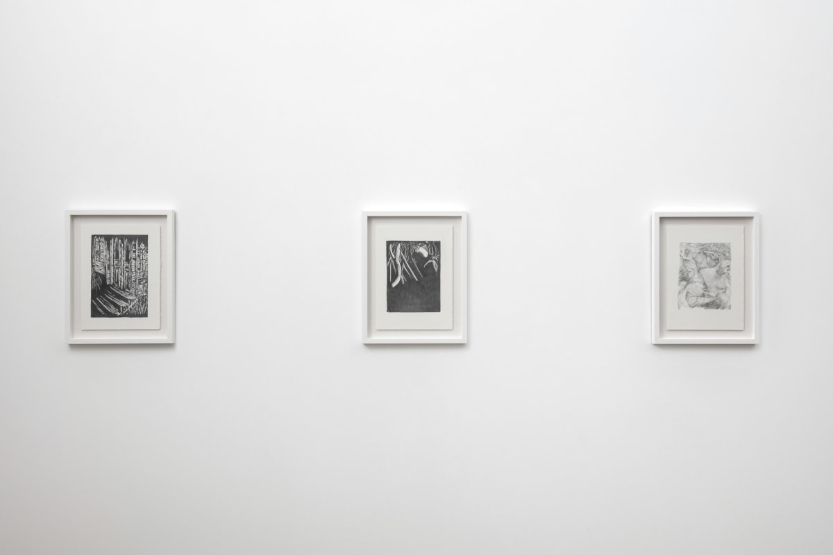 Ken Gonzales-Day, Another Land, 2022, Installation View 8