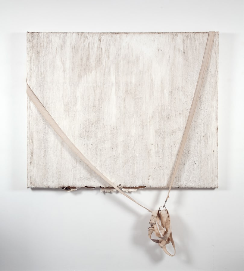 Margie Livingston Dragged Painting with Harness, 2016