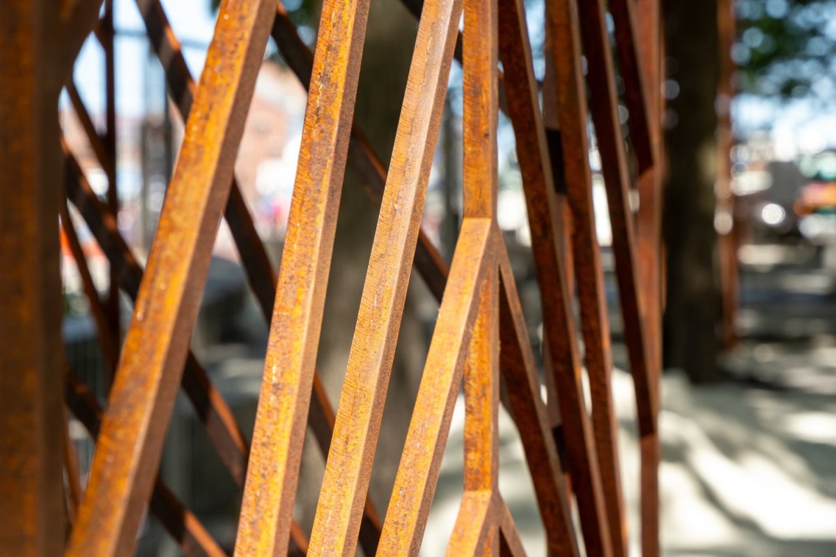 Close-up look of Graft (c) Hayley McManus