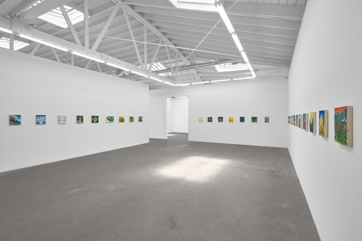 Installation view of ERIK OLSON: The Mountain and the Sea, on view June 17 - August 5, 2023